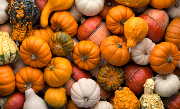 A pile of multi-colored pumpkins, gourds, and acorns