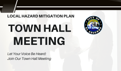 Local Hazard Mitigation Plan Town Hall Meeting