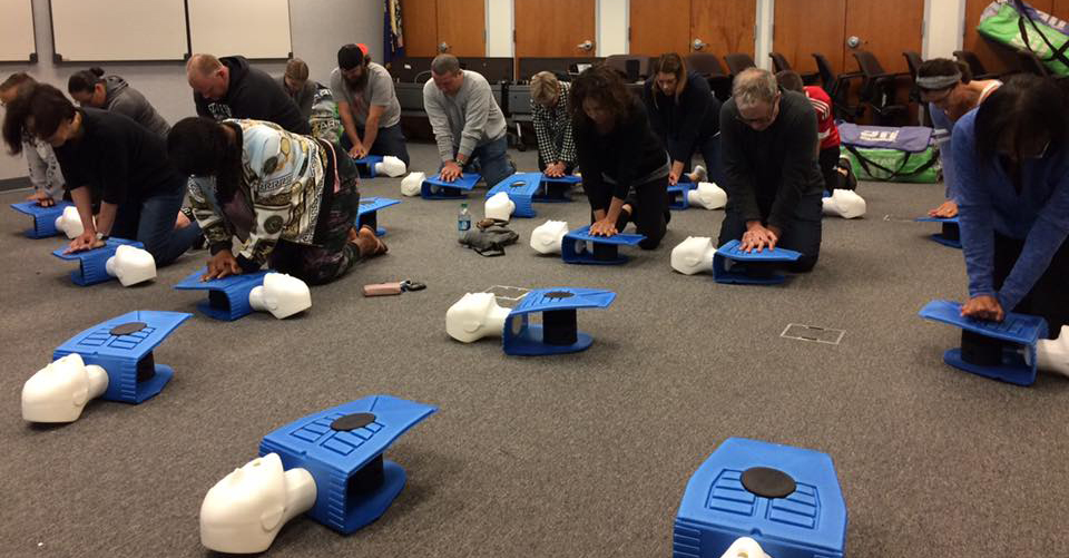 citizens perform chest compressions on CPR mannequins